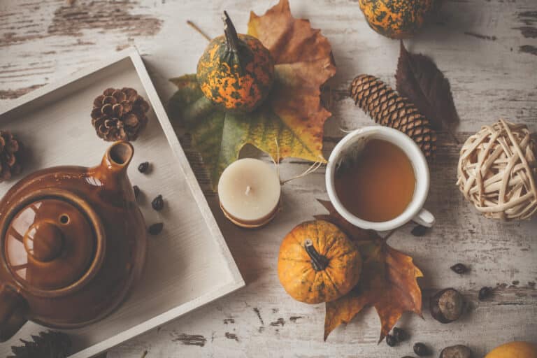 Directly above shot of rustic teapot, cup of tea with decoration of dried leaves, pine cones, chestnuts and pumpkins.